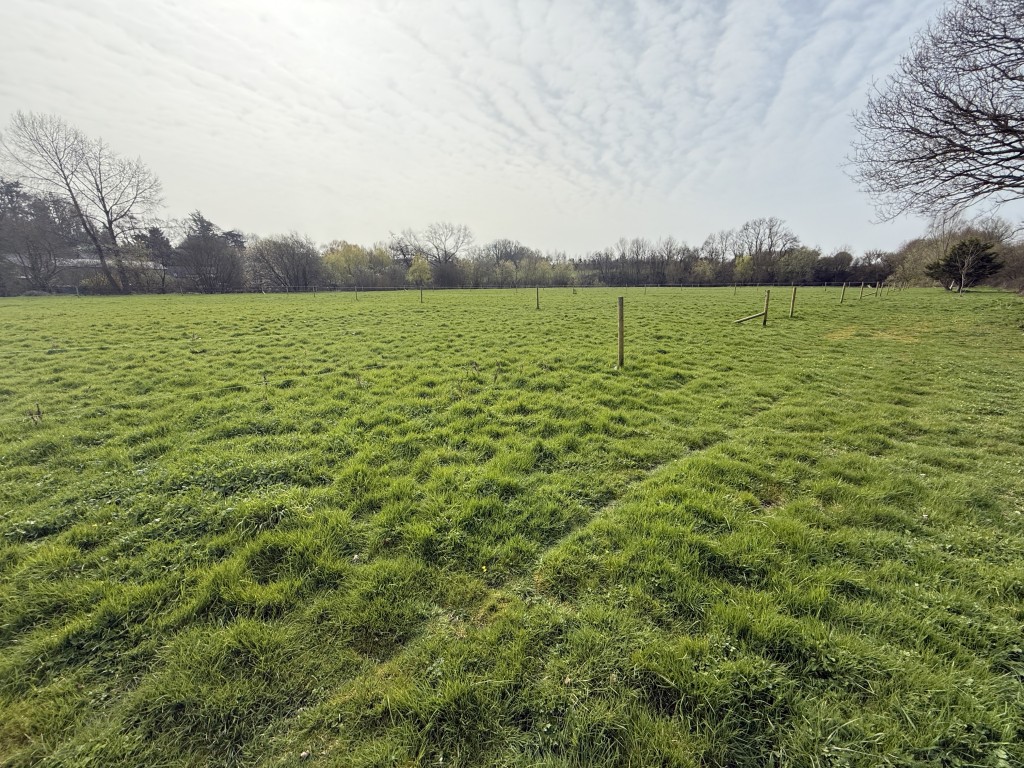 Lot: 144 - DETACHED COTTAGE WITH OUTBUILDING AND STABLES ON A SITE MEASURING OVER SIX ACRES - General view of land